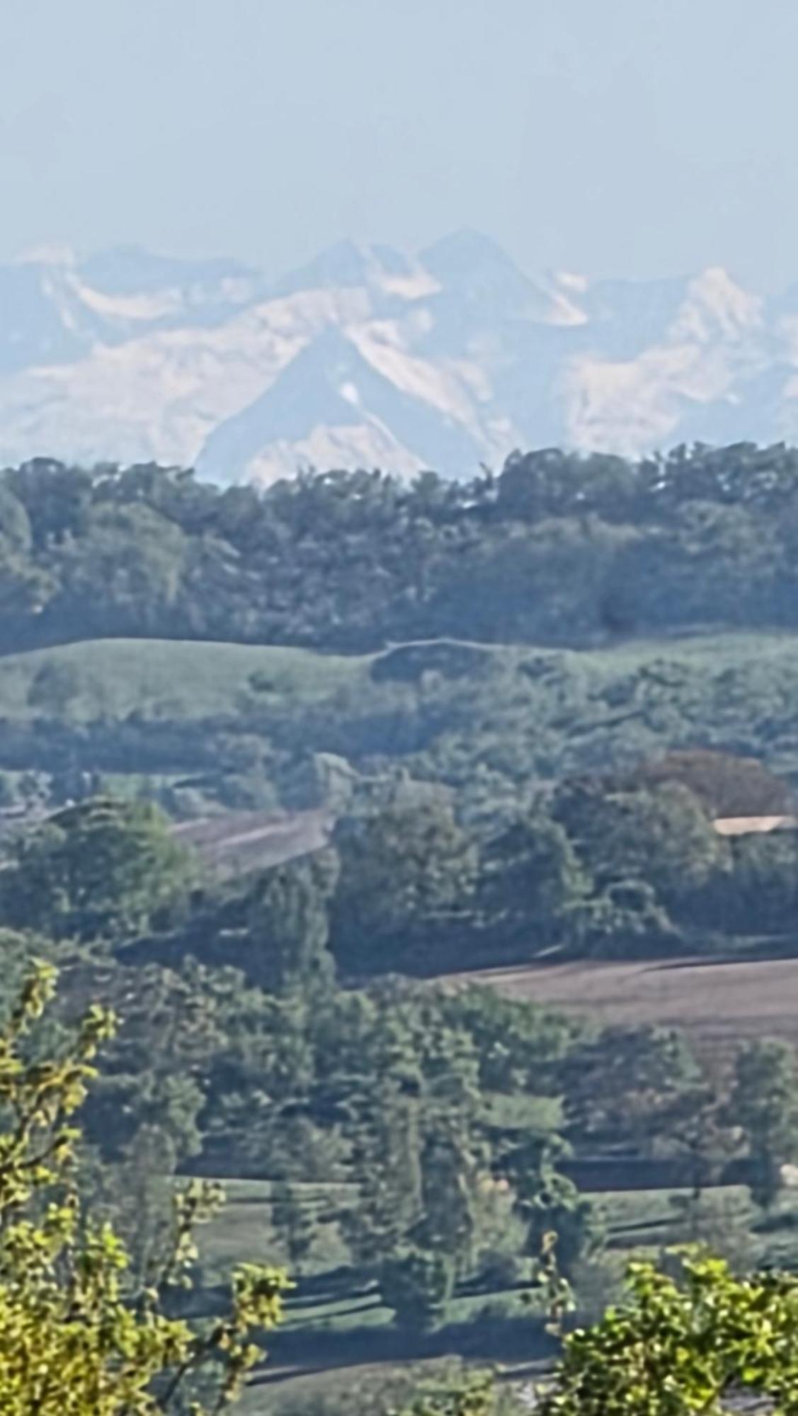 Chateau De Pourpry Damiatte Kültér fotó