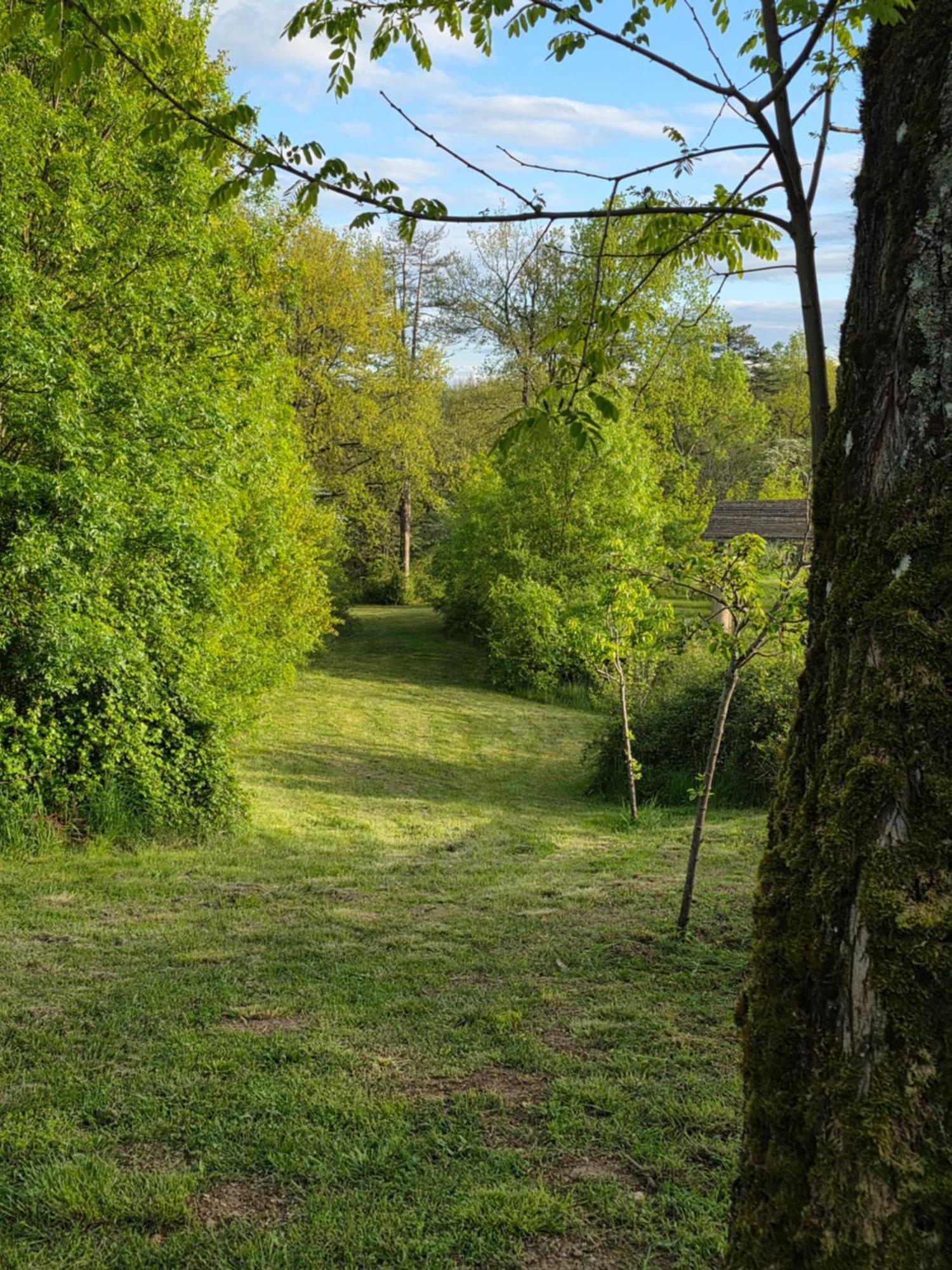 Chateau De Pourpry Damiatte Kültér fotó