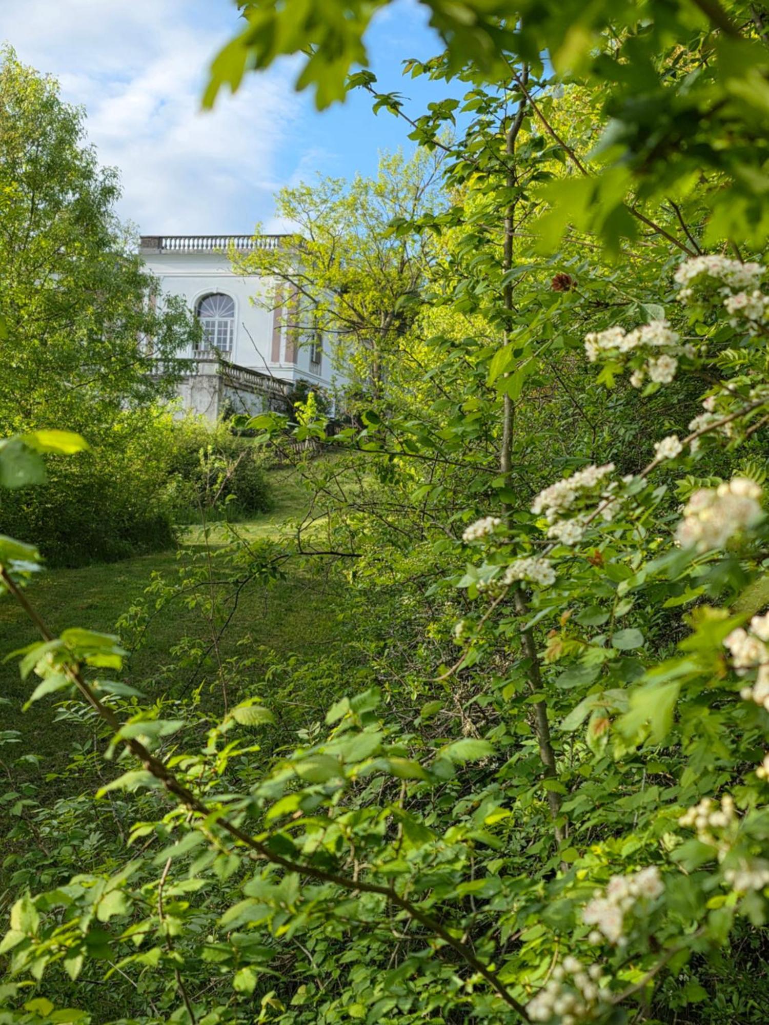 Chateau De Pourpry Damiatte Kültér fotó