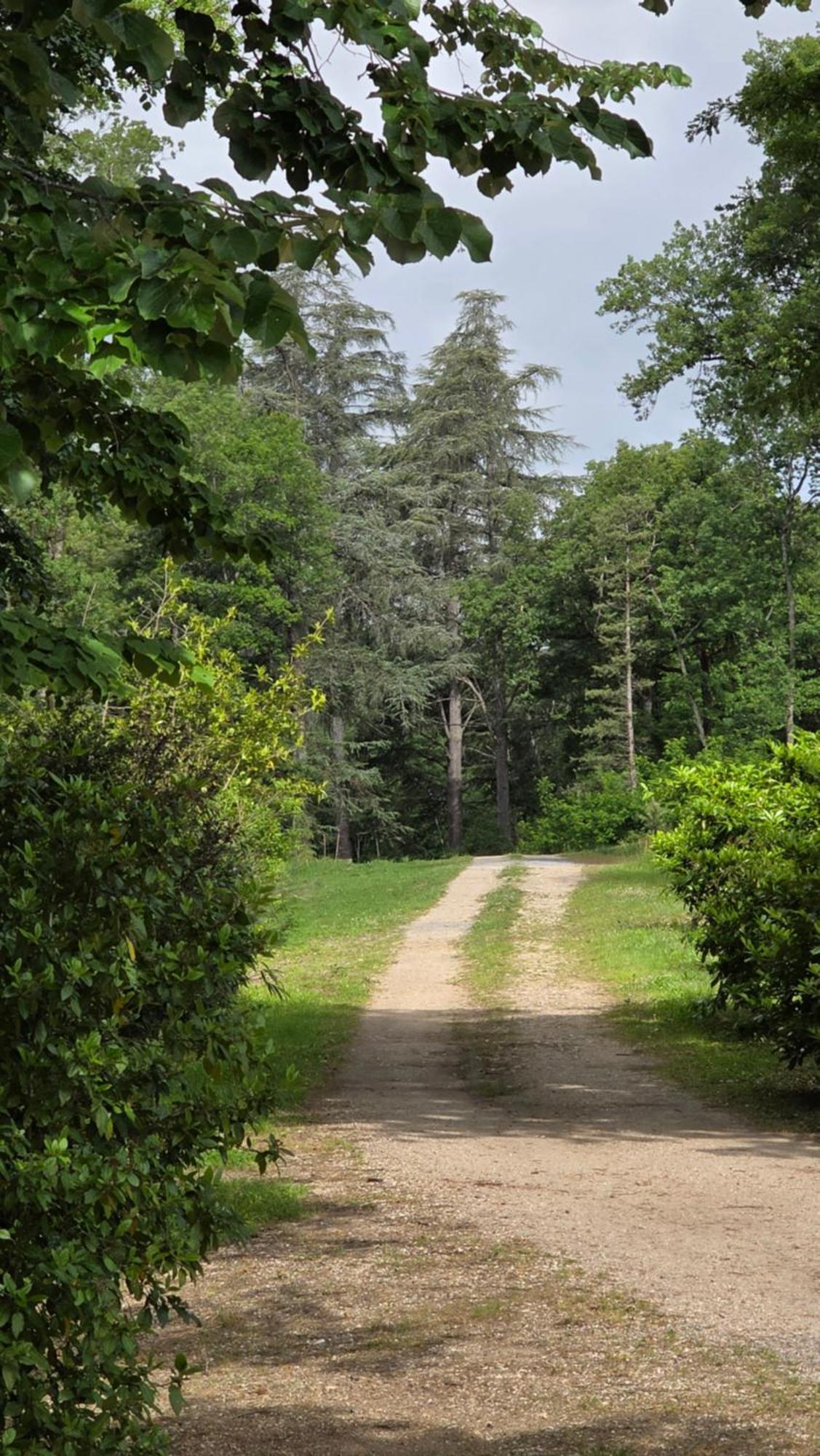 Chateau De Pourpry Damiatte Kültér fotó